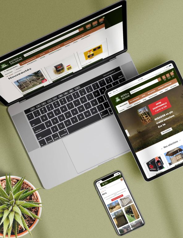 Réalisation refonte site Astrid de Sologne