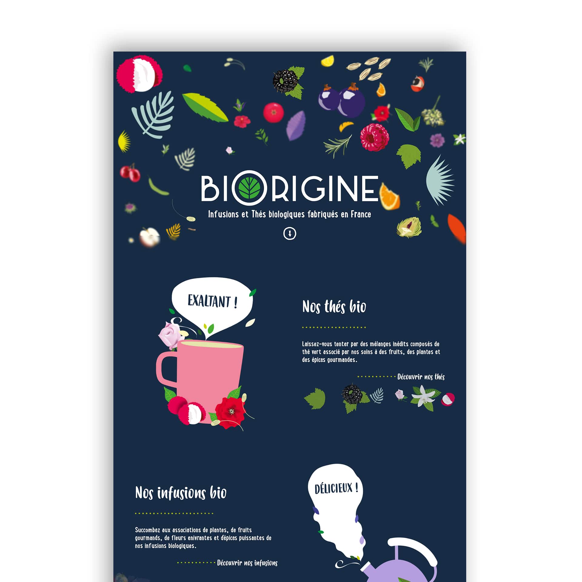 Maquette site e-commerce thé et infusions Biorigine